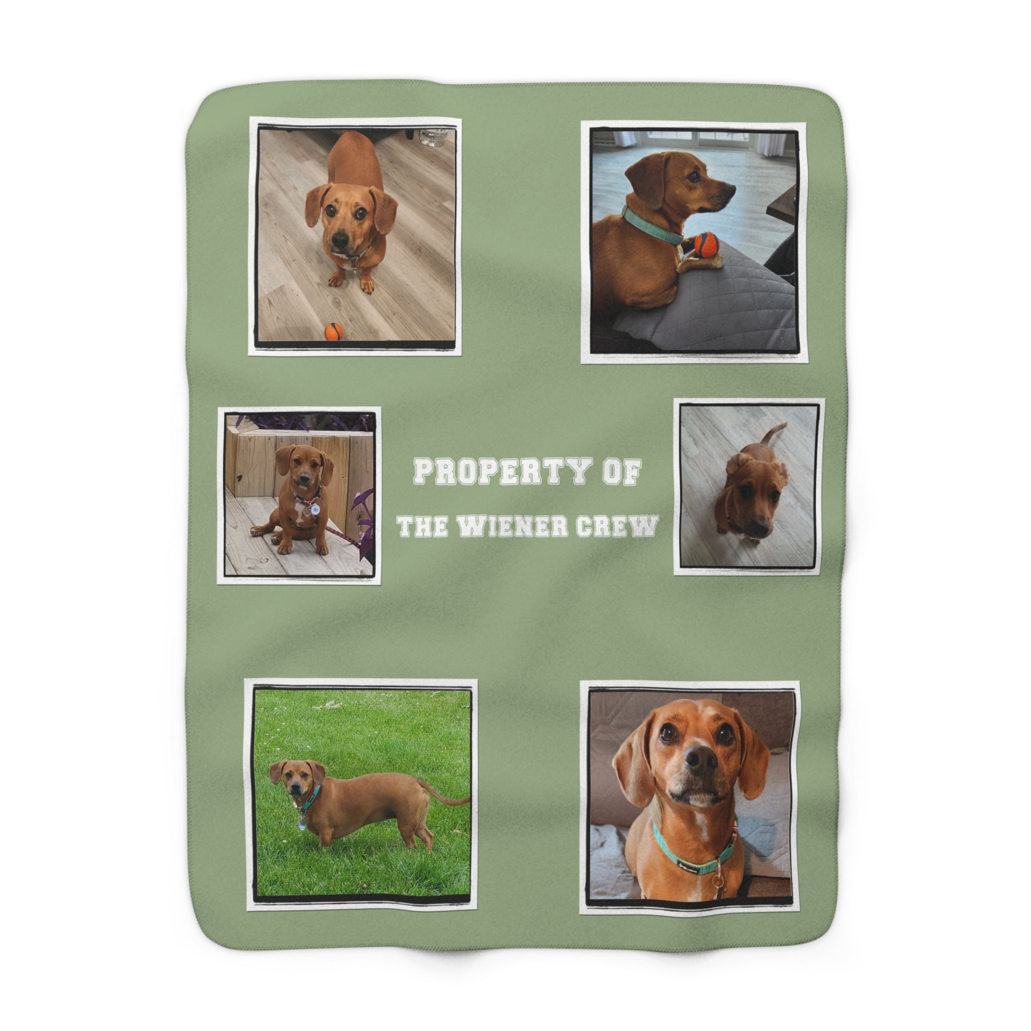 Green blanket with images of a dog and text 'Property of the Wiener Crew' on a white background