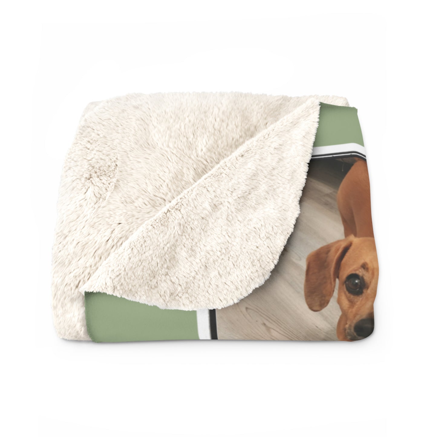 Blanket with a dachshund design on a white background