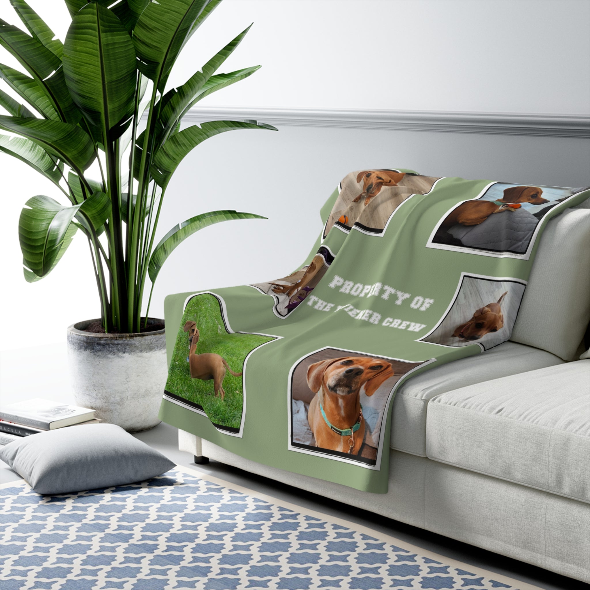 Green blanket with dog pictures on a white couch in a living room setting.
